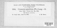 Image Associated With the Occurence